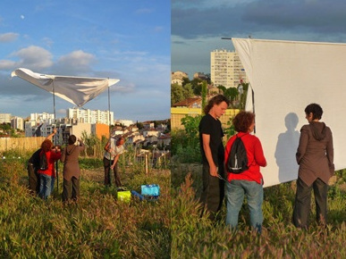 2012 — Atelier ciné-poème, L'arbre à quoi sert-il ?